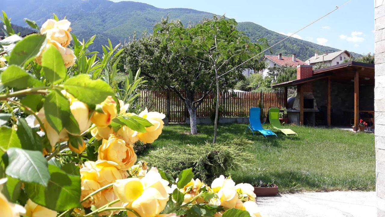 Guest House Vessyta Sapareva Banya Exterior foto