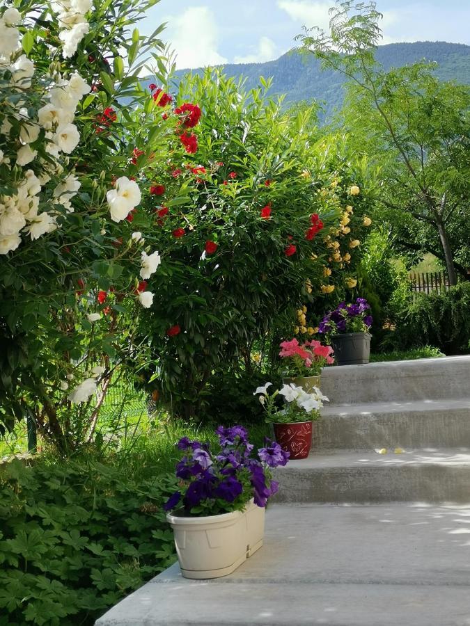 Guest House Vessyta Sapareva Banya Exterior foto